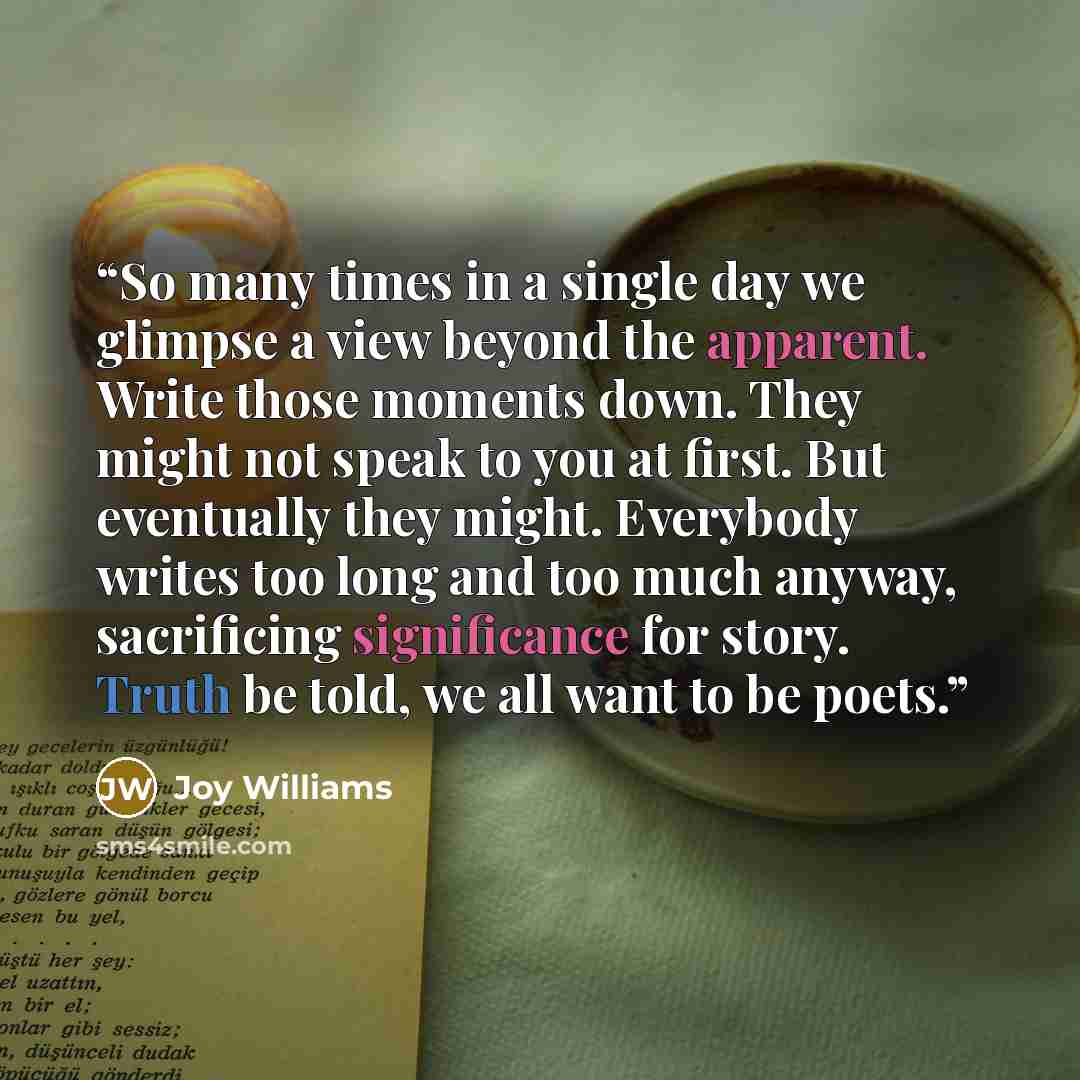 “So many times in a single day we glimpse a view beyond the apparent. Write those moments down. They might not speak to you at first. But eventually they might. Everybody writes too long and too much anyway, sacrificing significance for story. Truth be told, we all want to be poets.” quote by Joy Williams