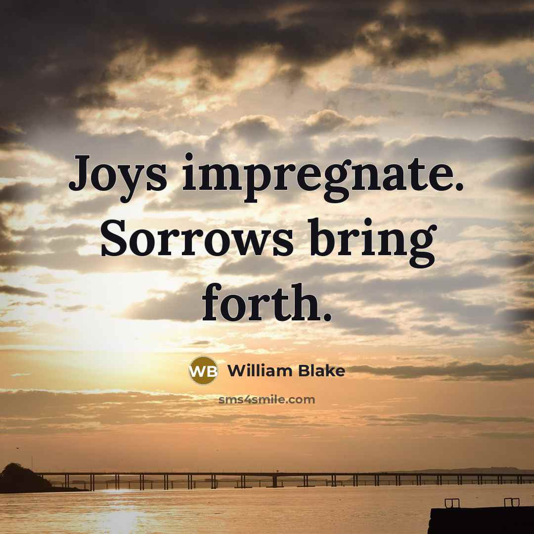 “Joys impregnate. Sorrows bring forth.” quote by William Blake