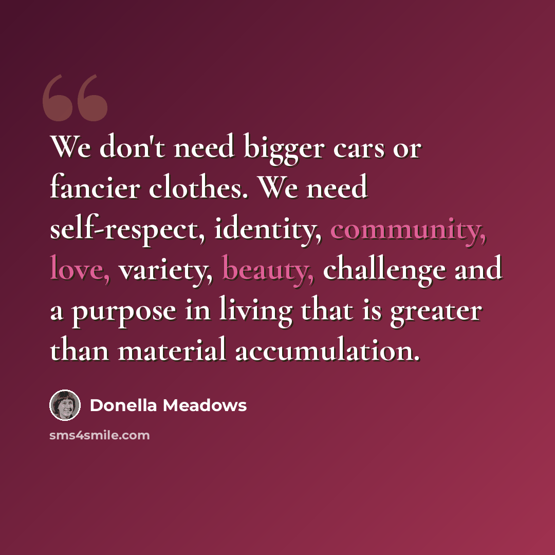 “We don't need bigger cars or fancier clothes. We need self-respect, identity, community, love, variety, beauty, challenge and a purpose in living that is greater than material accumulation.” quote by Donella Meadows