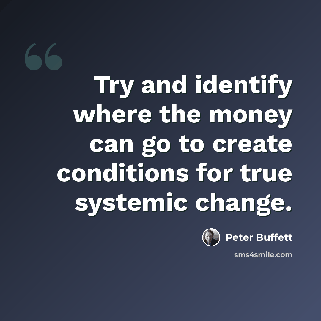 “Try and identify where the money can go to create conditions for true systemic change.” quote by Peter Buffett