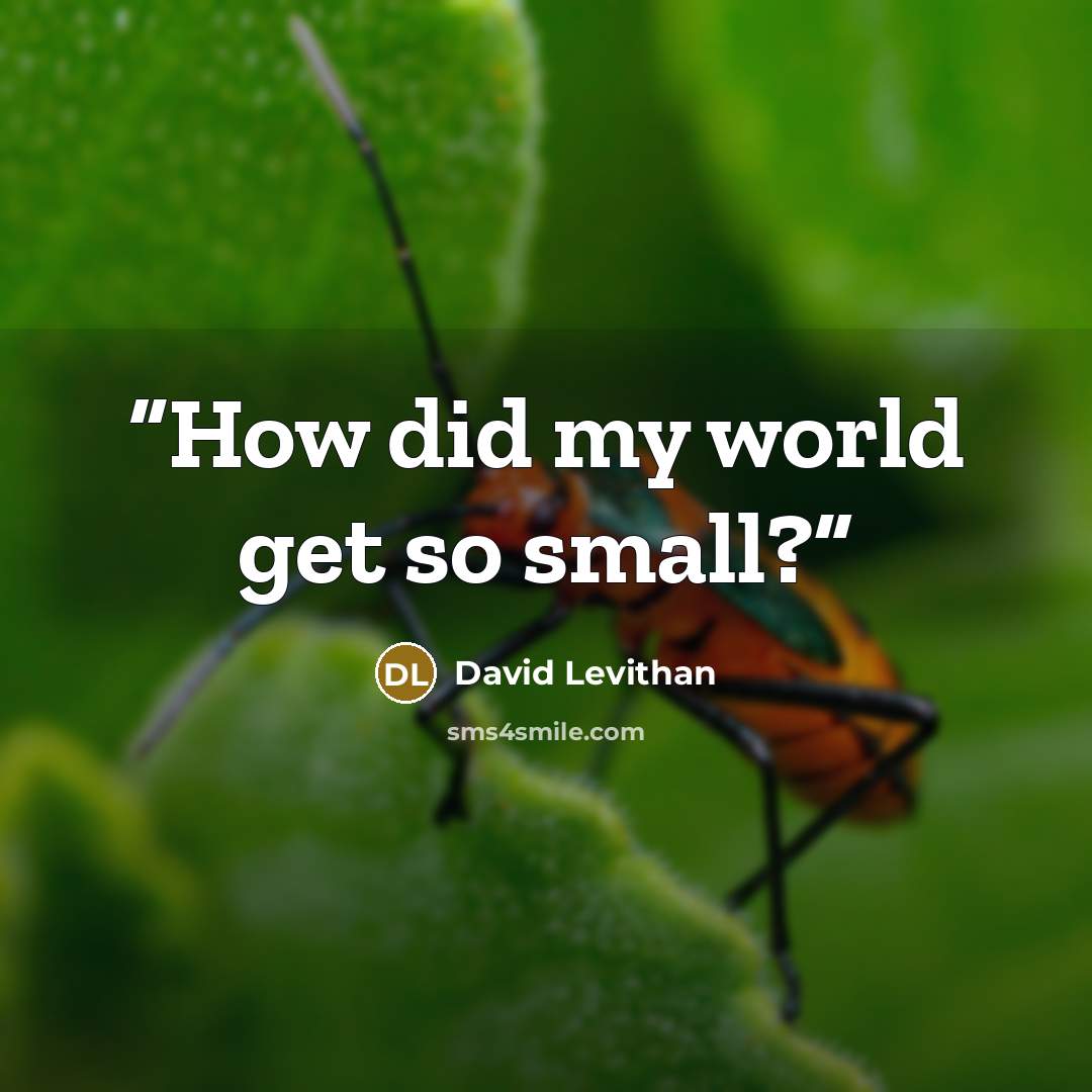 “How did my world get so small?” quote by David Levithan