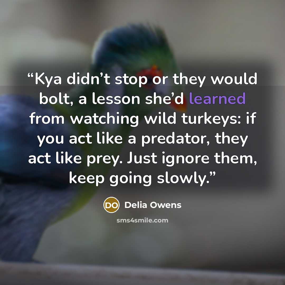 “Kya didn’t stop or they would bolt, a lesson she’d learned from watching wild turkeys: if you act like a predator, they act like prey. Just ignore them, keep going slowly.” quote by Delia Owens