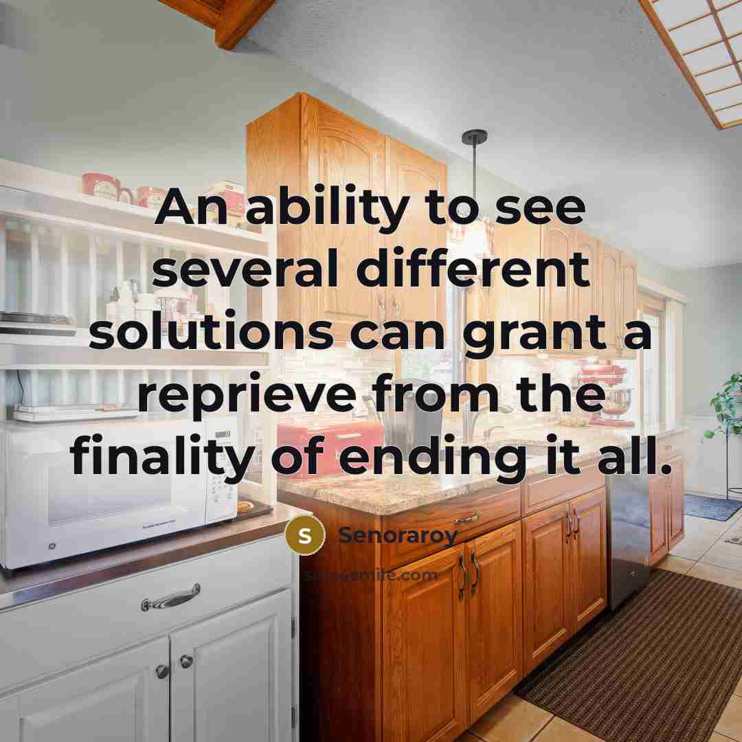 “An ability to see several different solutions can grant a reprieve from the finality of ending it all.” quote by Senoraroy
