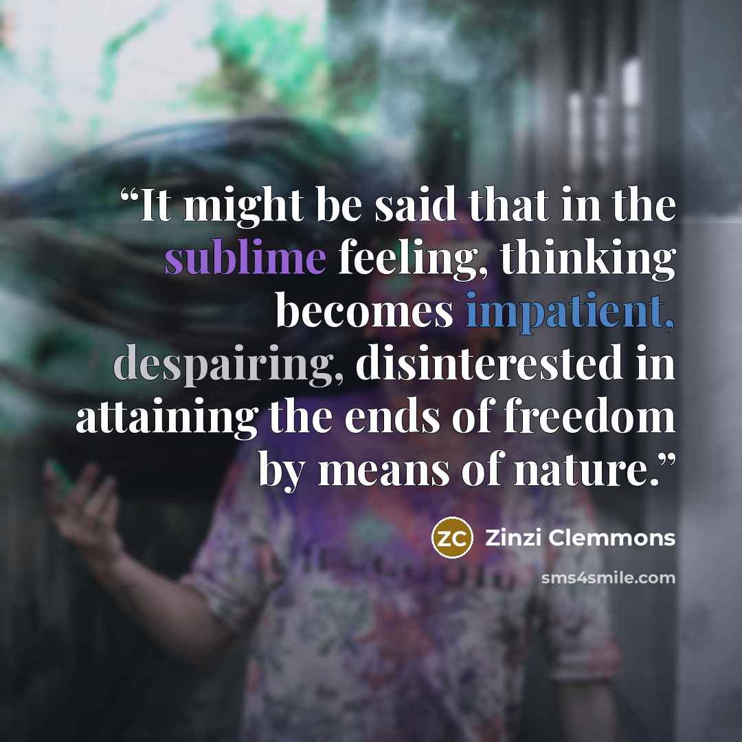 “It might be said that in the sublime feeling, thinking becomes impatient, despairing, disinterested in attaining the ends of freedom by means of nature.” quote by Zinzi Clemmons