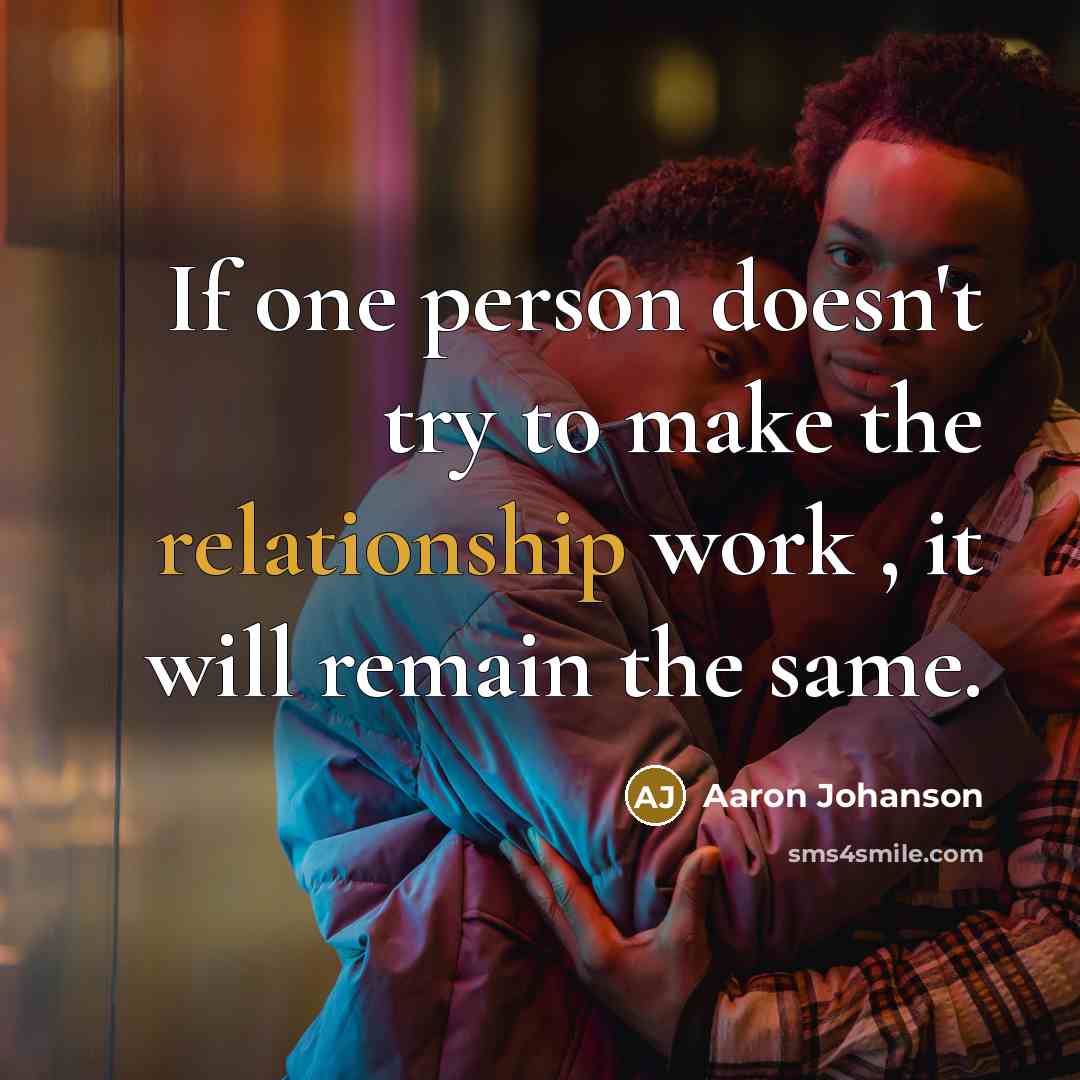 “If one person doesn't try to make the relationship work , it will remain the same.” quote by Aaron Johanson