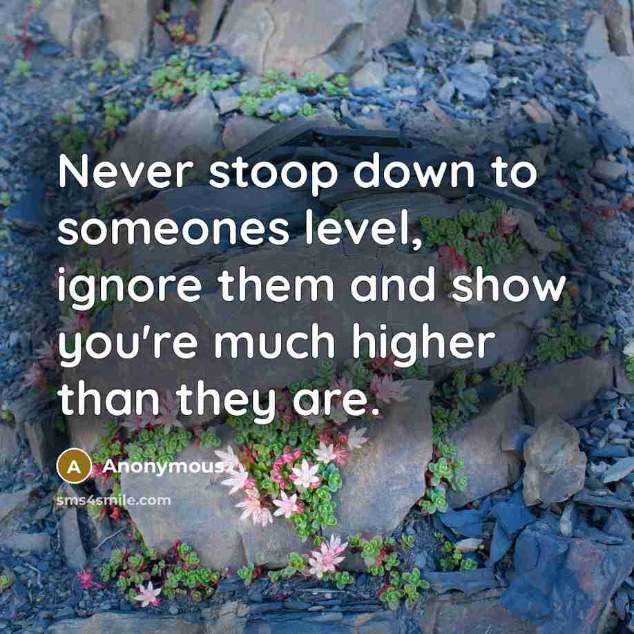 “Never stoop down to someones level, ignore them and show you're much higher than they are.” quote by Anonymous