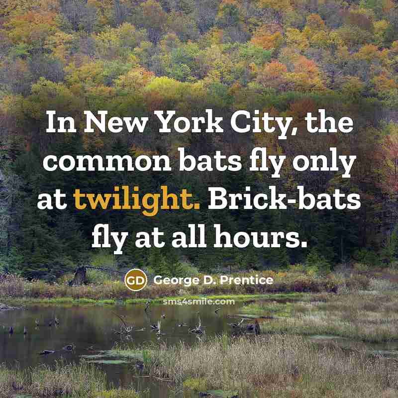 “In New York City, the common bats fly only at twilight. Brick-bats fly at all hours.” quote by George D. Prentice