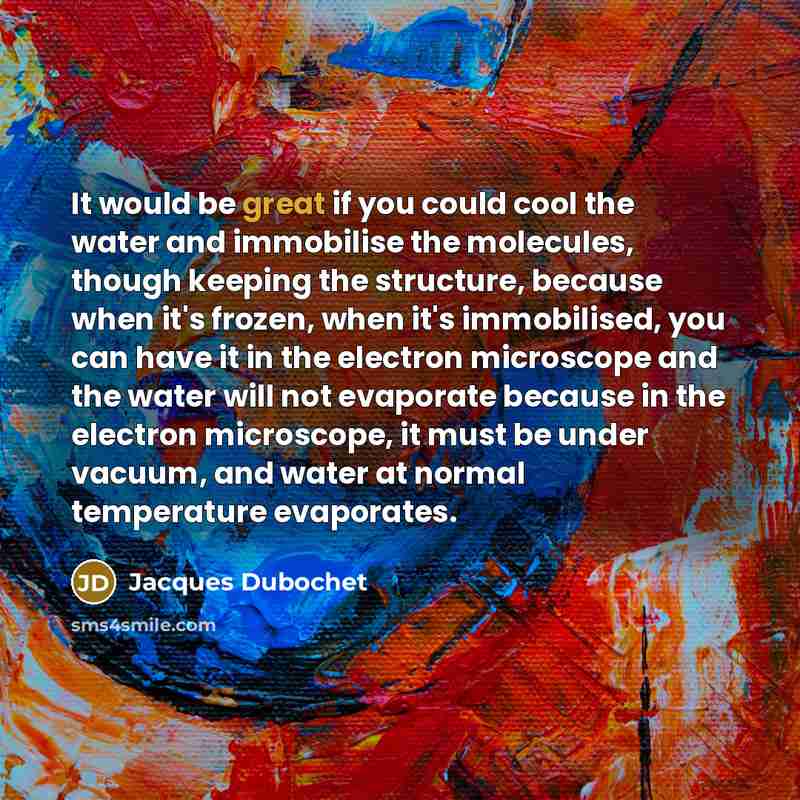 “It would be great if you could cool the water and immobilise the molecules, though keeping the structure, because when it's frozen, when it's immobilised, you can have it in the electron microscope and the water will not evaporate because in the electron microscope, it must be under vacuum, and…” quote by Jacques Dubochet