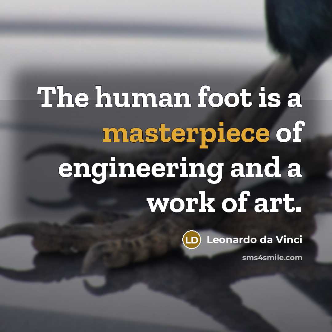 “The human foot is a masterpiece of engineering and a work of art.” quote by Leonardo da Vinci