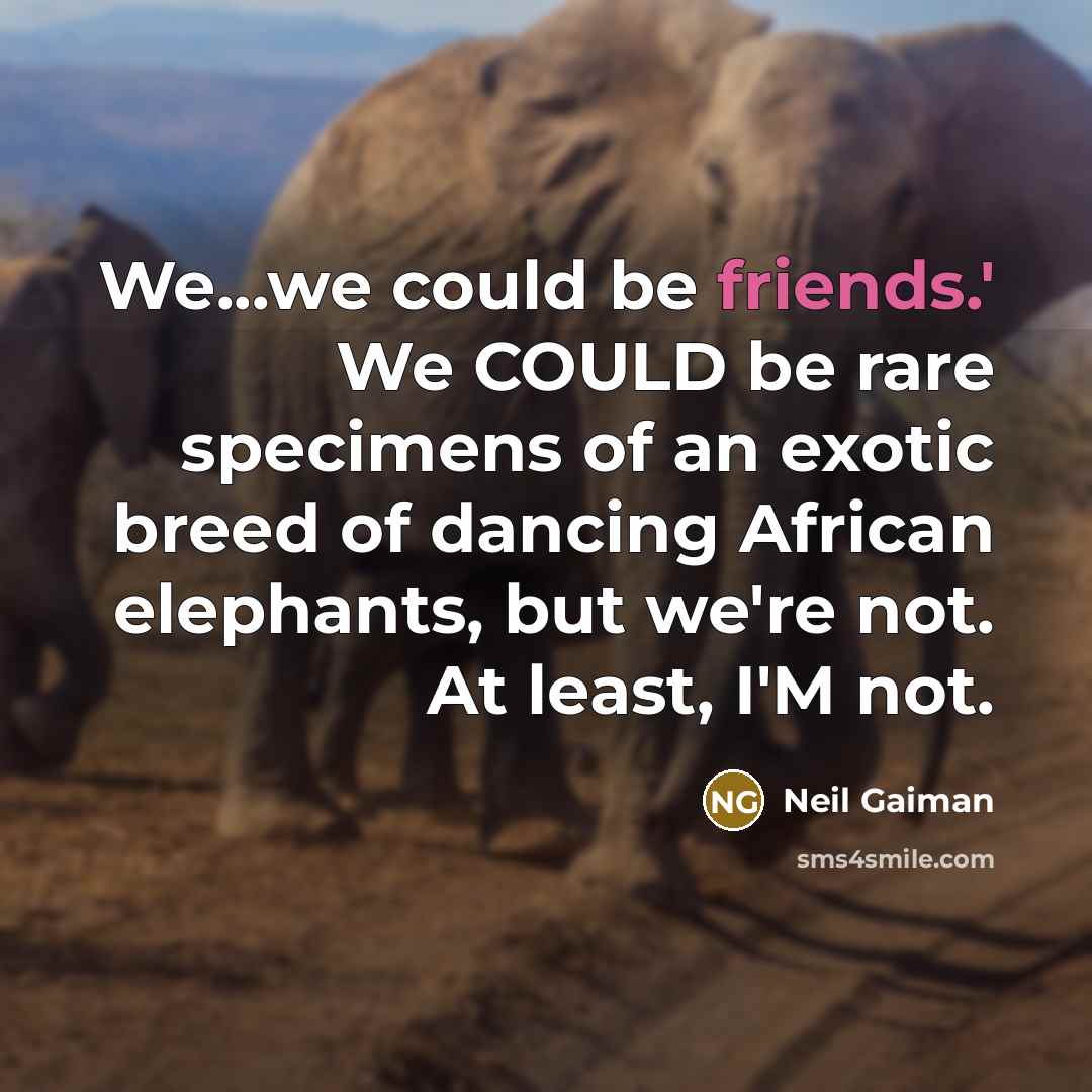 “We...we could be friends.' We COULD be rare specimens of an exotic breed of dancing African elephants, but we're not. At least, I'M not.” quote by Neil Gaiman