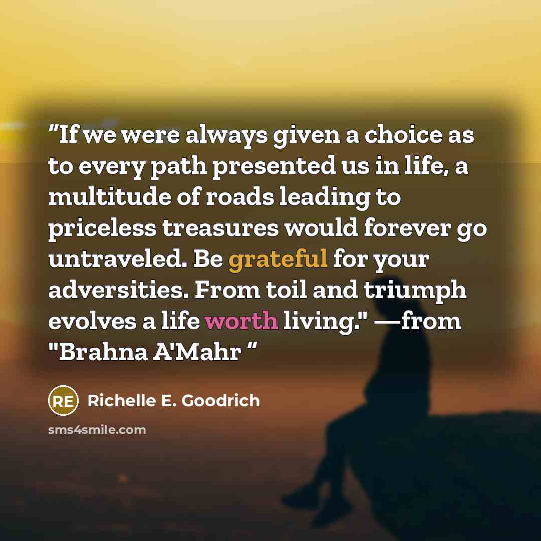 “If we were always given a choice as to every path presented us in life, a multitude of roads leading to priceless treasures would forever go untraveled. Be grateful for your adversities. From toil and triumph evolves a life worth living." —from "Brahna A'Mahr” quote by Richelle E. Goodrich