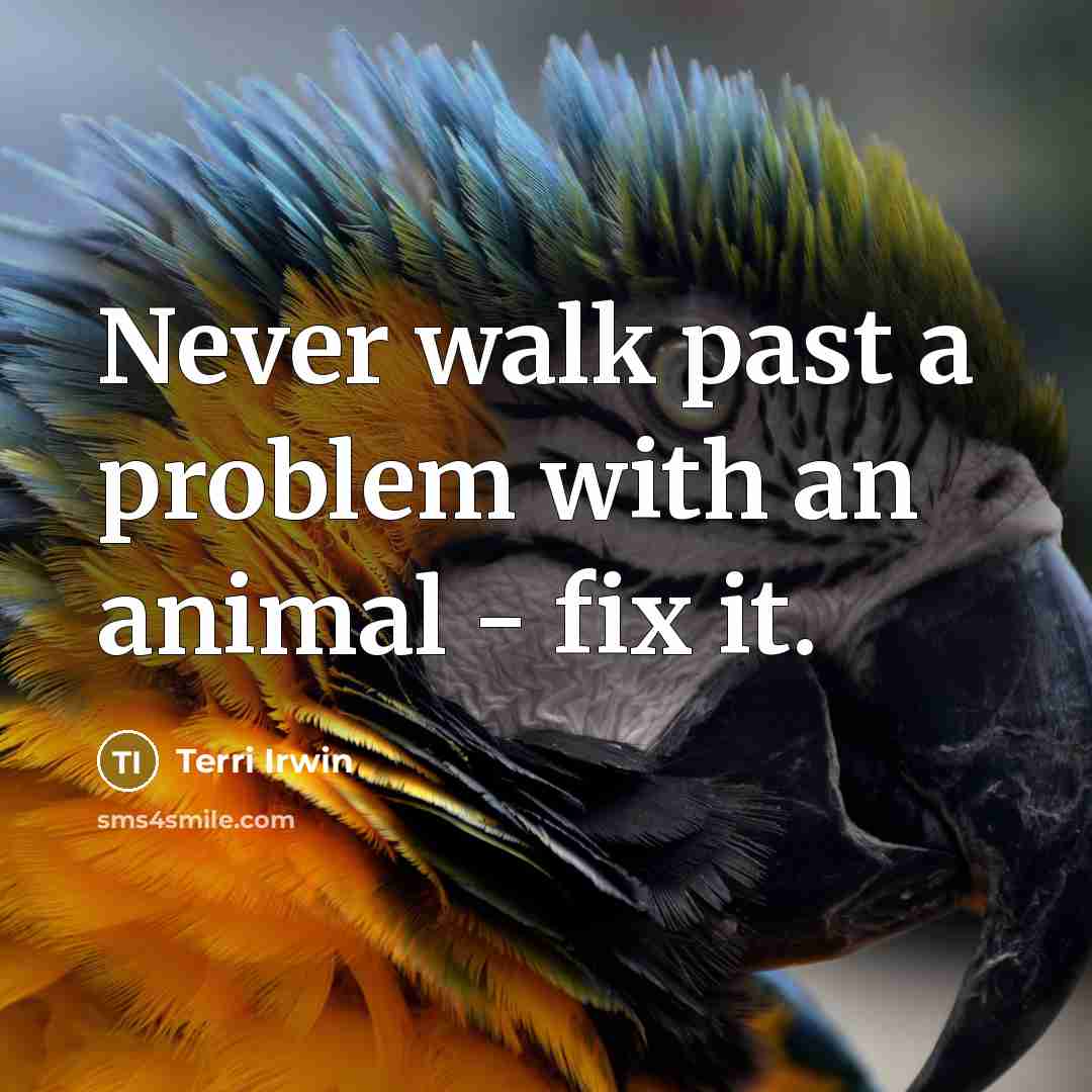 “Never walk past a problem with an animal - fix it.” quote by Terri Irwin