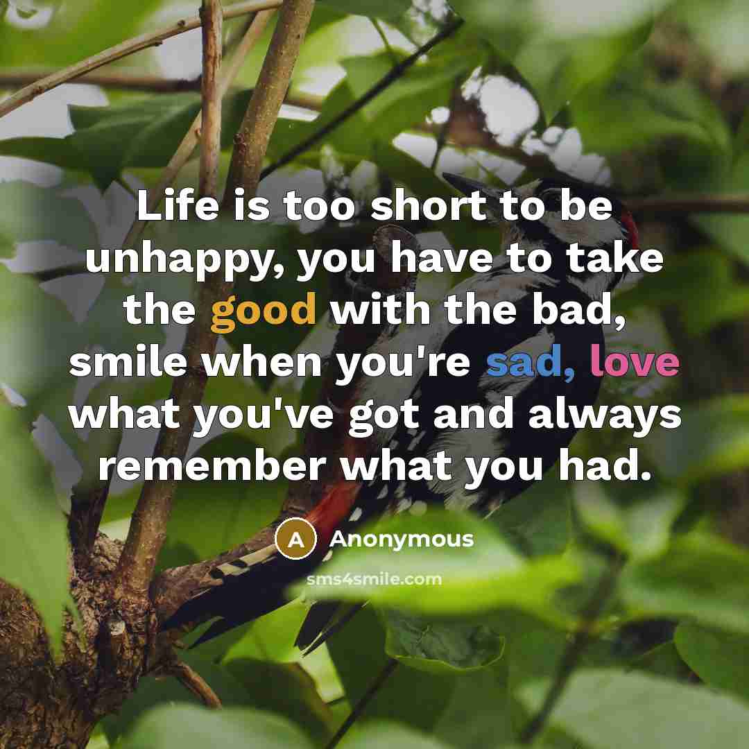 “Life is too short to be unhappy, you have to take the good with the bad, smile when you're sad, love what you've got and always remember what you had.” quote by Anonymous