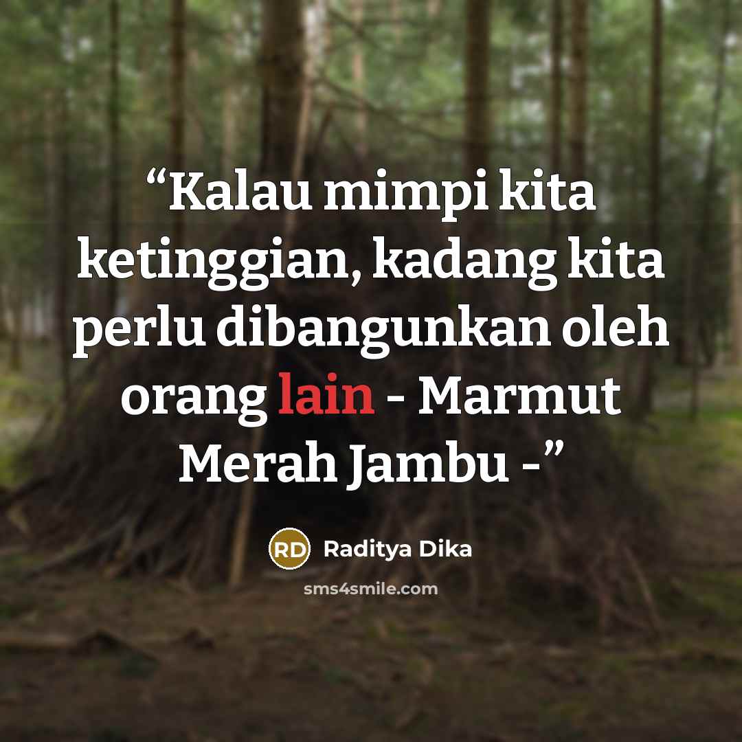 “Kalau mimpi kita ketinggian, kadang kita perlu dibangunkan oleh orang lain - Marmut Merah Jambu -” quote by Raditya Dika