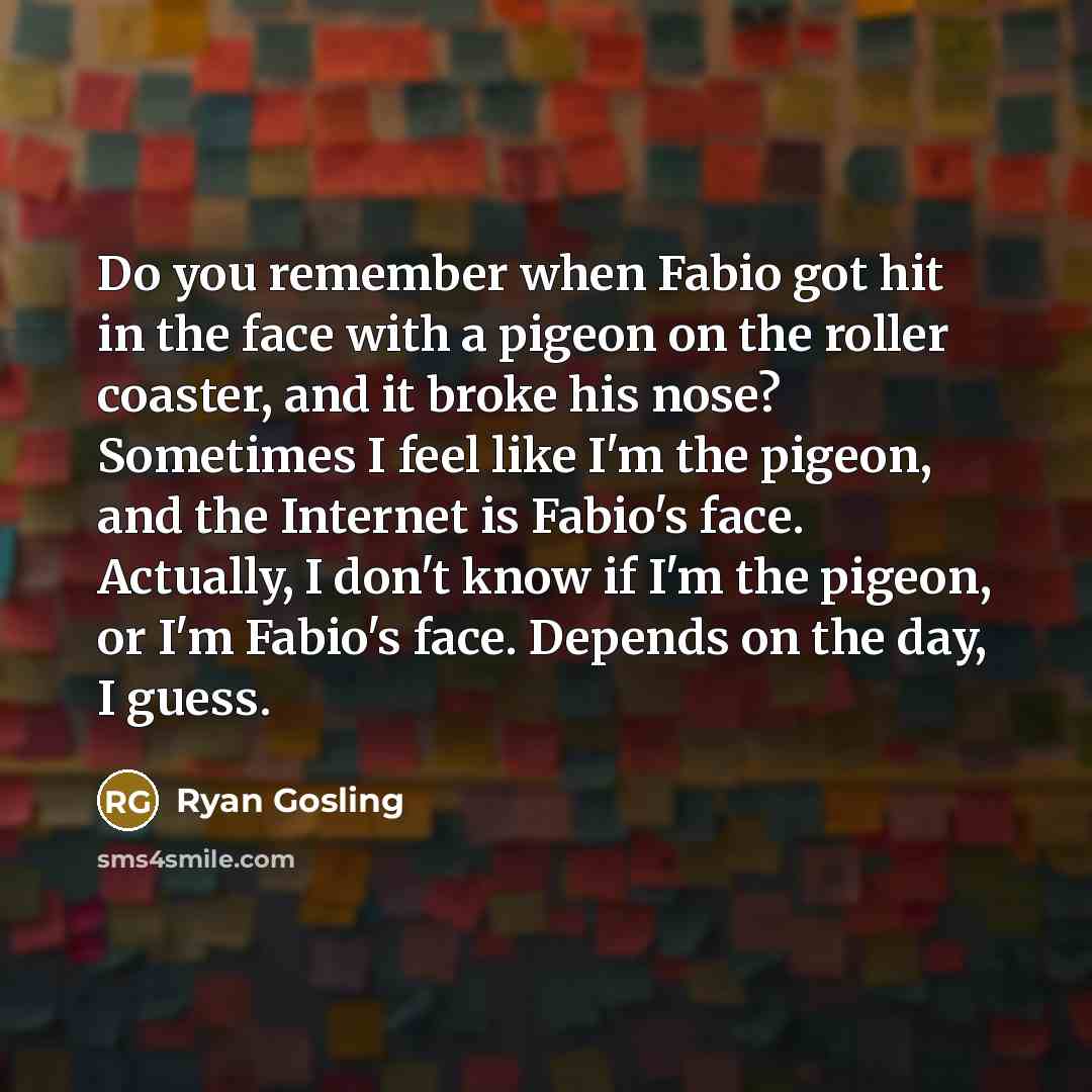 “Do you remember when Fabio got hit in the face with a pigeon on the roller coaster, and it broke his nose? Sometimes I feel like I'm the pigeon, and the Internet is Fabio's face. Actually, I don't know if I'm the pigeon, or I'm Fabio's face. Depends on the day, I guess.” quote by Ryan Gosling