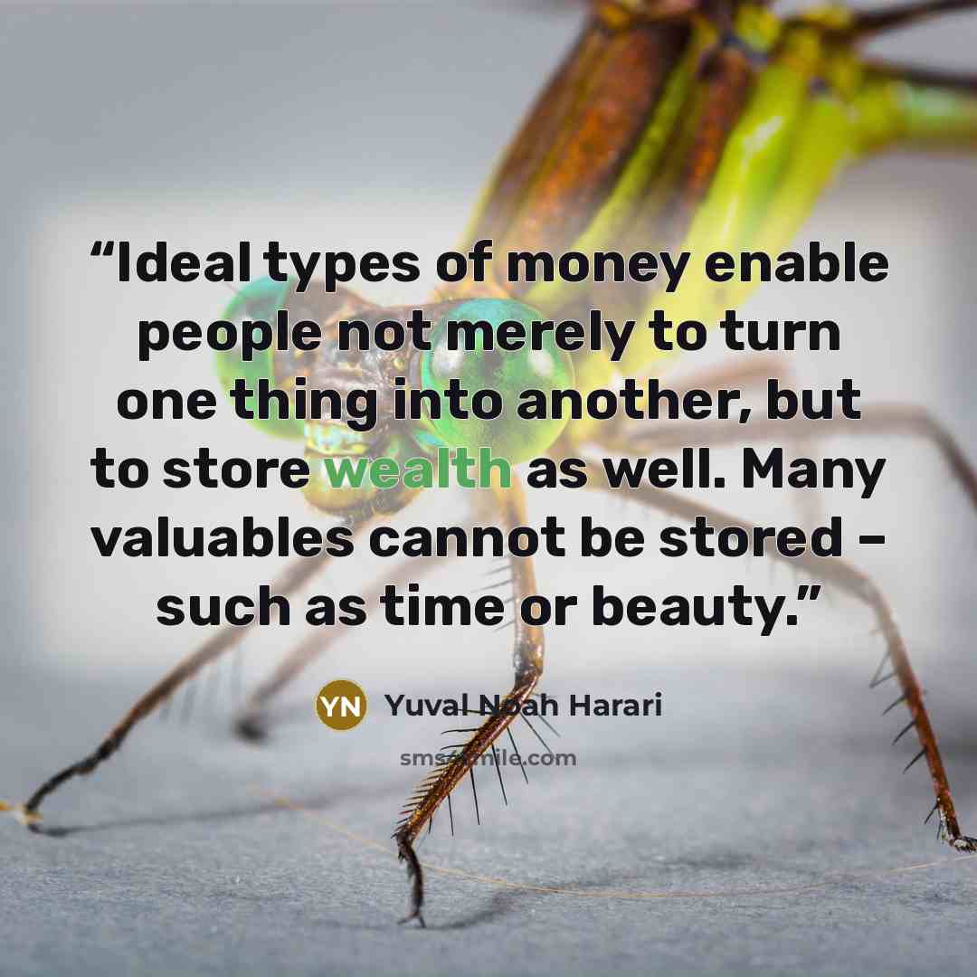 “Ideal types of money enable people not merely to turn one thing into another, but to store wealth as well. Many valuables cannot be stored – such as time or beauty.” quote by Yuval Noah Harari