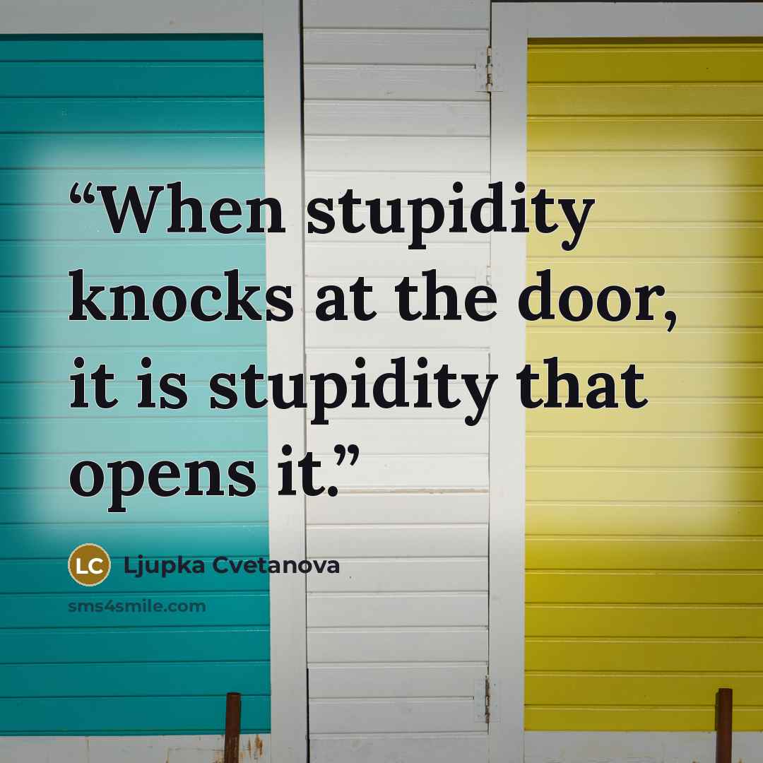 “When stupidity knocks at the door, it is stupidity that opens it.” quote by Ljupka Cvetanova