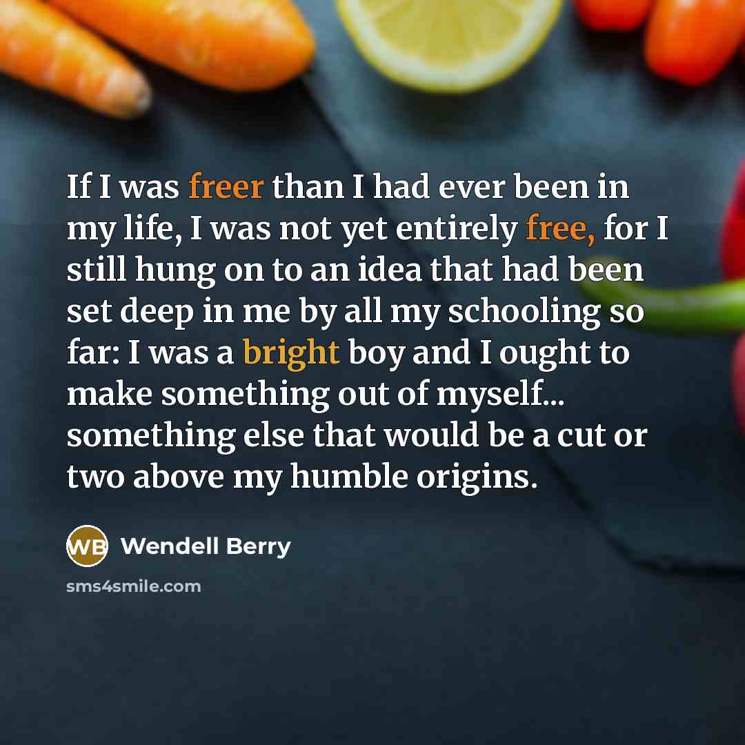 “If I was freer than I had ever been in my life, I was not yet entirely free, for I still hung on to an idea that had been set deep in me by all my schooling so far: I was a bright boy and I ought to make something out of myself... something else that would be a cut or two above my humble origins.” quote by Wendell Berry