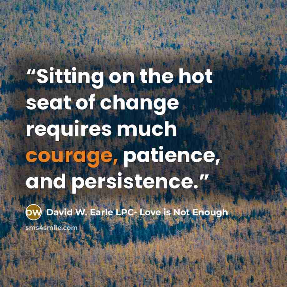 “Sitting on the hot seat of change requires much courage, patience, and persistence.” quote by David W. Earle LPC- Love is Not Enough