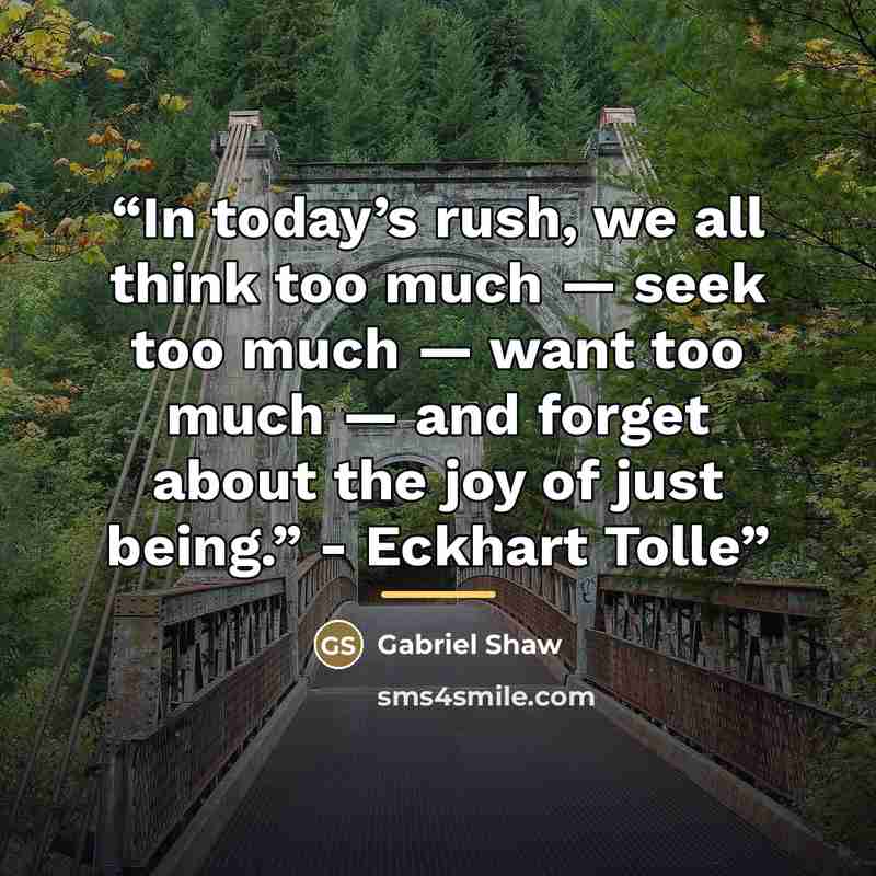 “In today’s rush, we all think too much — seek too much — want too much — and forget about the joy of just being.” - Eckhart Tolle” quote by Gabriel Shaw