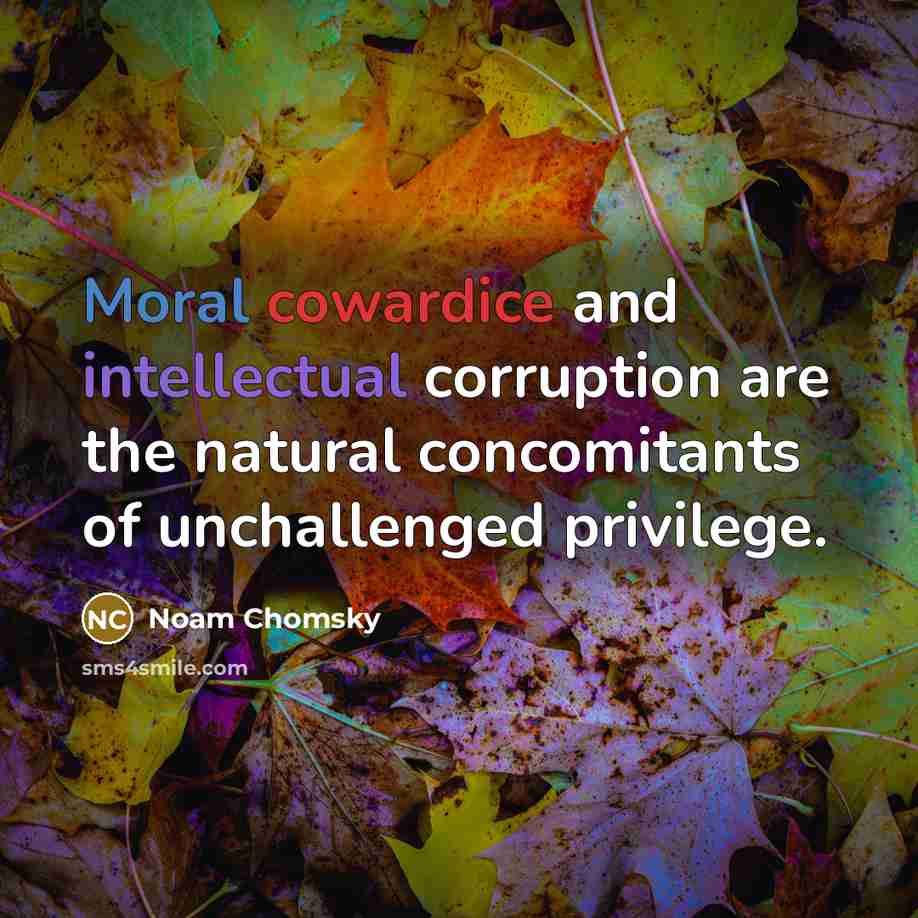 “Moral cowardice and intellectual corruption are the natural concomitants of unchallenged privilege.” quote by Noam Chomsky