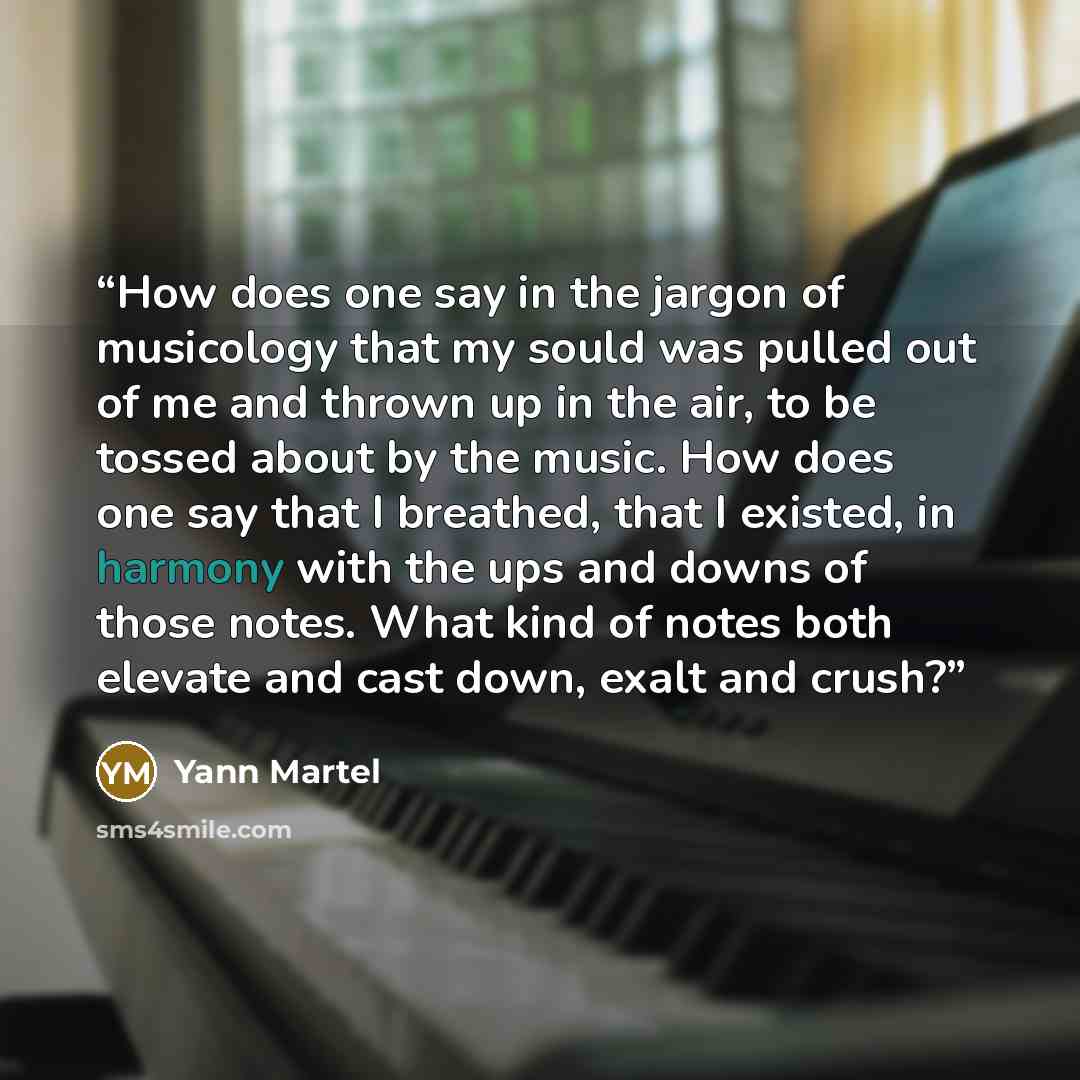 “How does one say in the jargon of musicology that my sould was pulled out of me and thrown up in the air, to be tossed about by the music. How does one say that I breathed, that I existed, in harmony with the ups and downs of those notes. What kind of notes both elevate and cast down, exalt and…” quote by Yann Martel