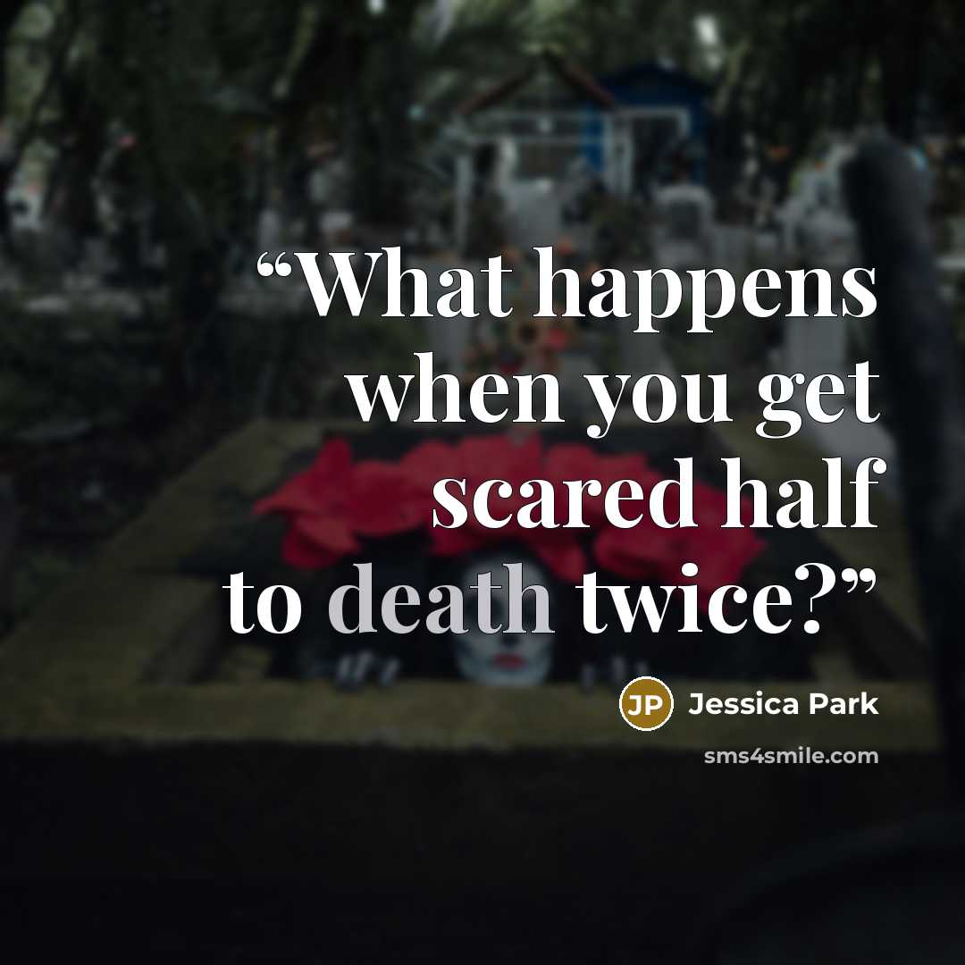 “What happens when you get scared half to death twice?” quote by Jessica Park