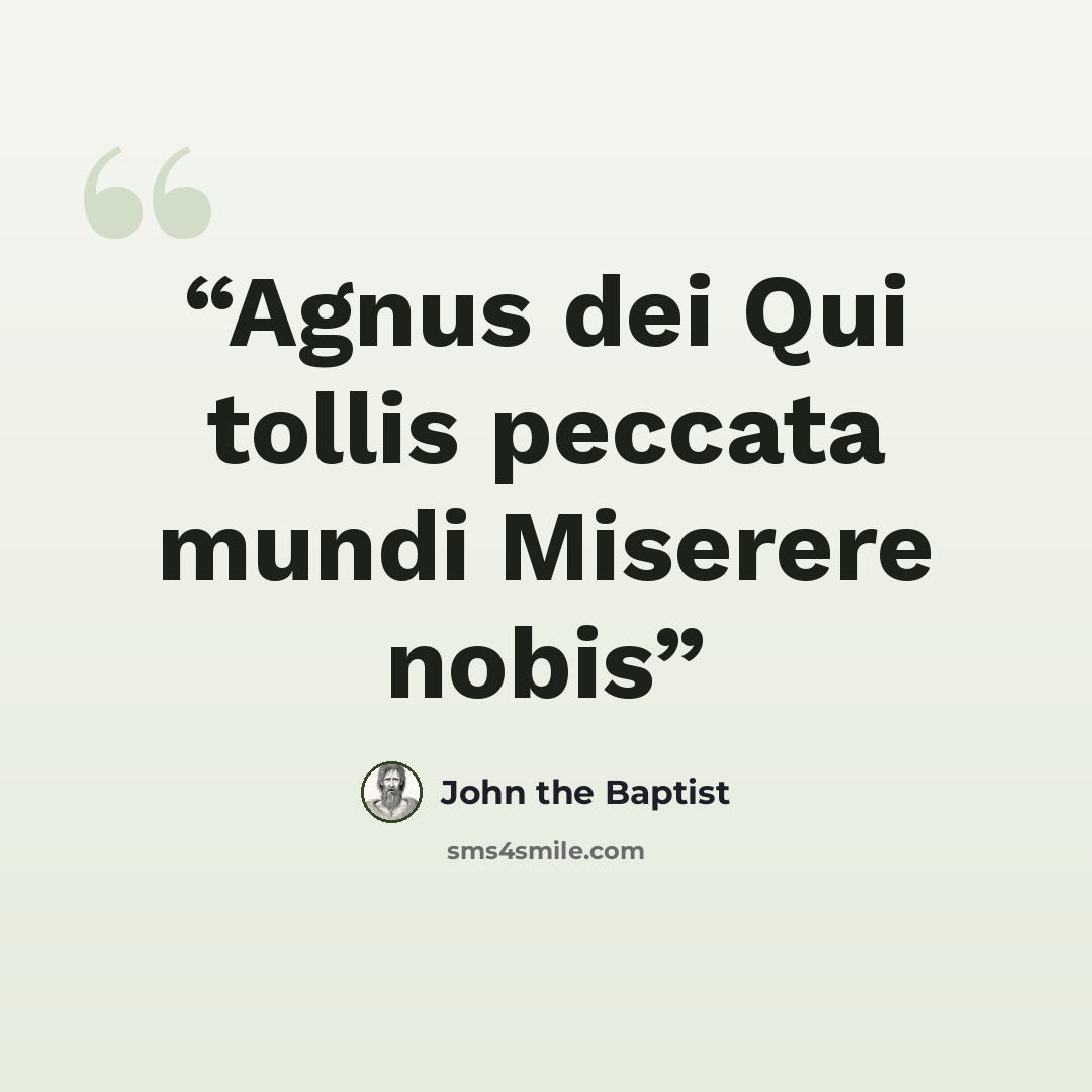 “Agnus dei Qui tollis peccata mundi Miserere nobis” quote by John the Baptist