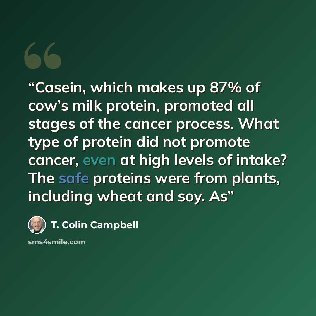 “Casein, which makes up 87% of cow’s milk protein, promoted all stages of the cancer process. What type of protein did not promote cancer, even at high levels of intake? The safe proteins were from plants, including wheat and soy. As” quote by T. Colin Campbell