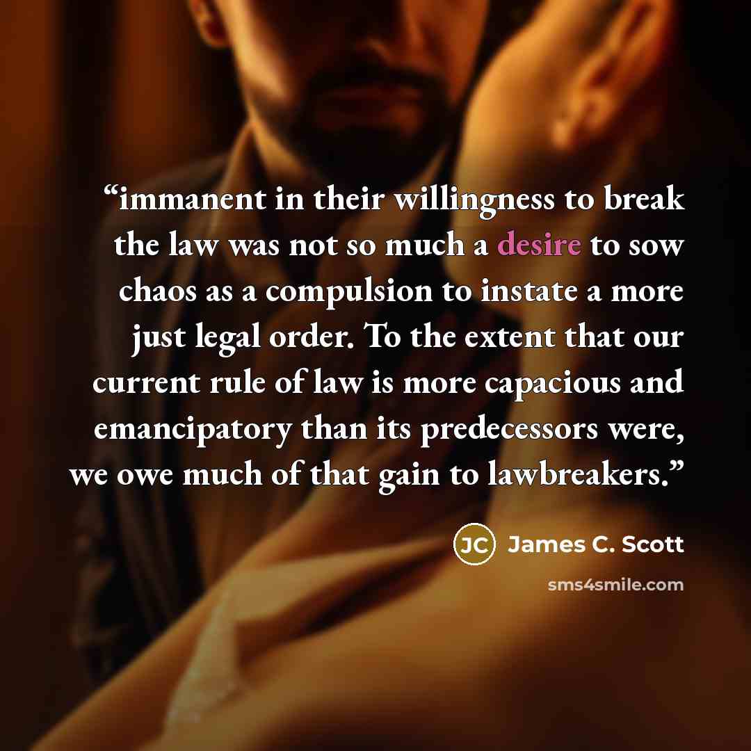 “immanent in their willingness to break the law was not so much a desire to sow chaos as a compulsion to instate a more just legal order. To the extent that our current rule of law is more capacious and emancipatory than its predecessors were, we owe much of that gain to lawbreakers.” quote by James C. Scott