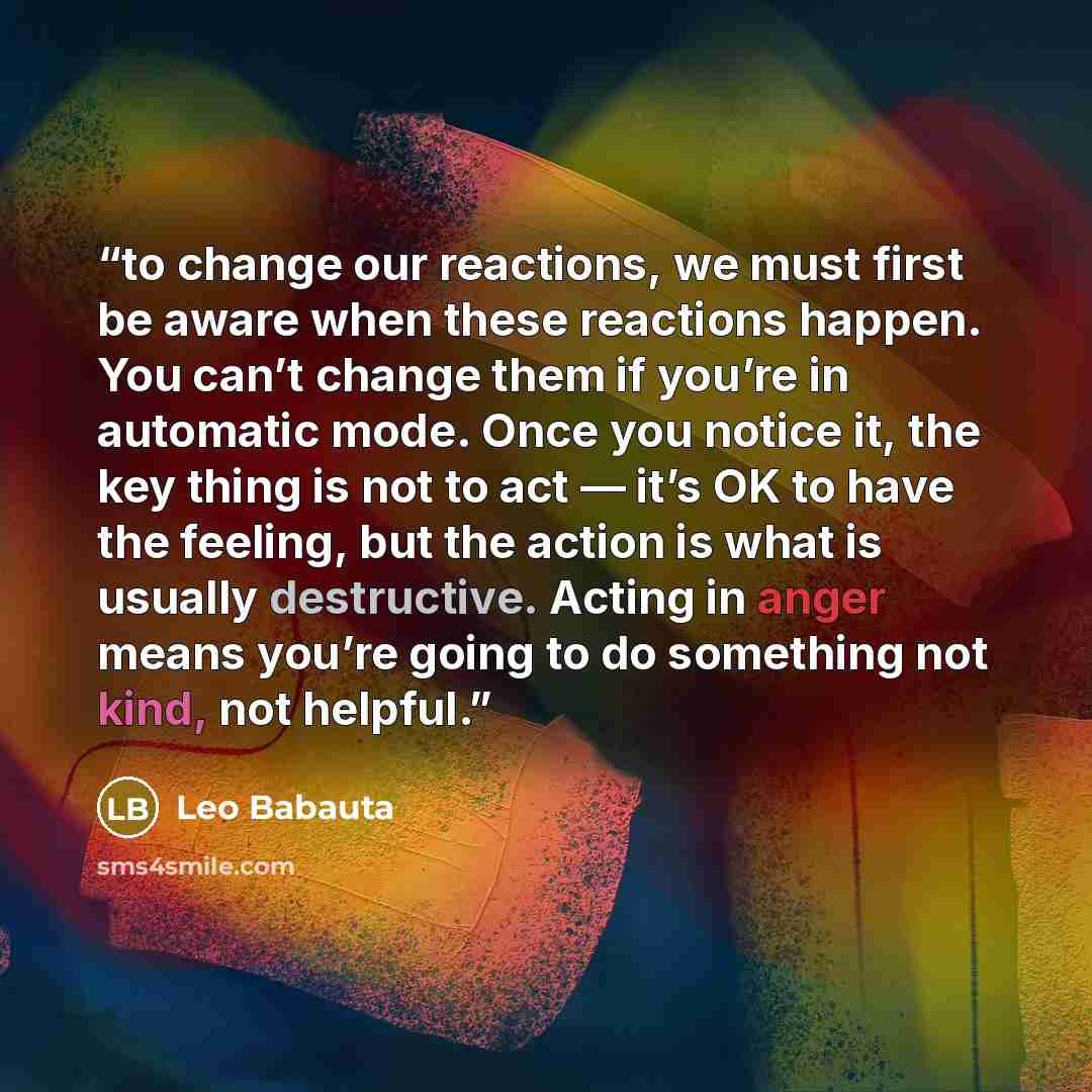“to change our reactions, we must first be aware when these reactions happen. You can’t change them if you’re in automatic mode. Once you notice it, the key thing is not to act — it’s OK to have the feeling, but the action is what is usually destructive. Acting in anger means you’re going to do…” quote by Leo Babauta
