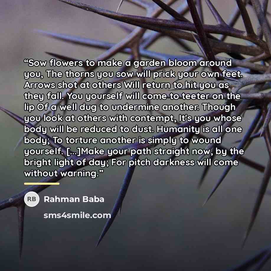 “Sow flowers to make a garden bloom around you, The thorns you sow will prick your own feet. Arrows shot at others Will return to hit you as they fall. You yourself will come to teeter on the lip Of a well dug to undermine another. Though you look at others with contempt, It's you whose body will…” quote by Rahman Baba
