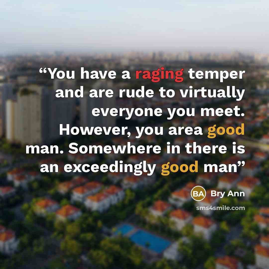 “You have a raging temper and are rude to virtually everyone you meet. However, you area good man. Somewhere in there is an exceedingly good man” quote by Bry Ann