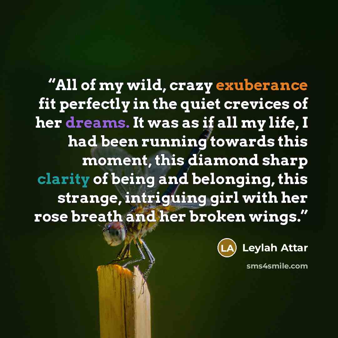 “All of my wild, crazy exuberance fit perfectly in the quiet crevices of her dreams. It was as if all my life, I had been running towards this moment, this diamond sharp clarity of being and belonging, this strange, intriguing girl with her rose breath and her broken wings.” quote by Leylah Attar