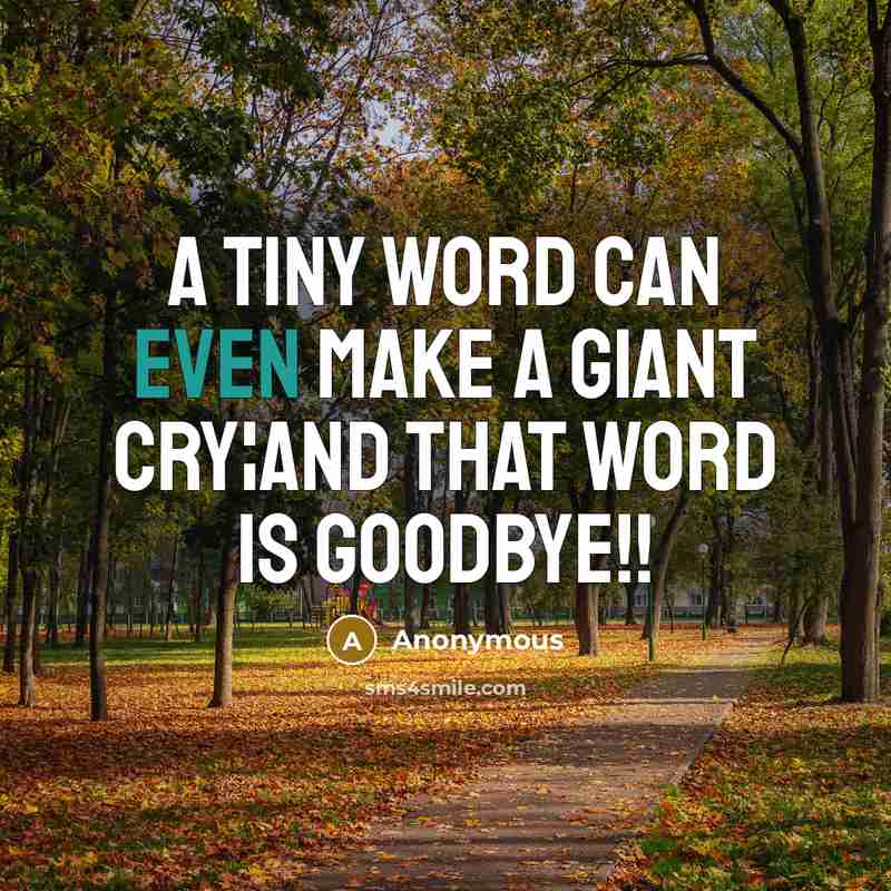 “A tiny word can even make a giant cry¦and that word is goodbye!!” quote by Anonymous