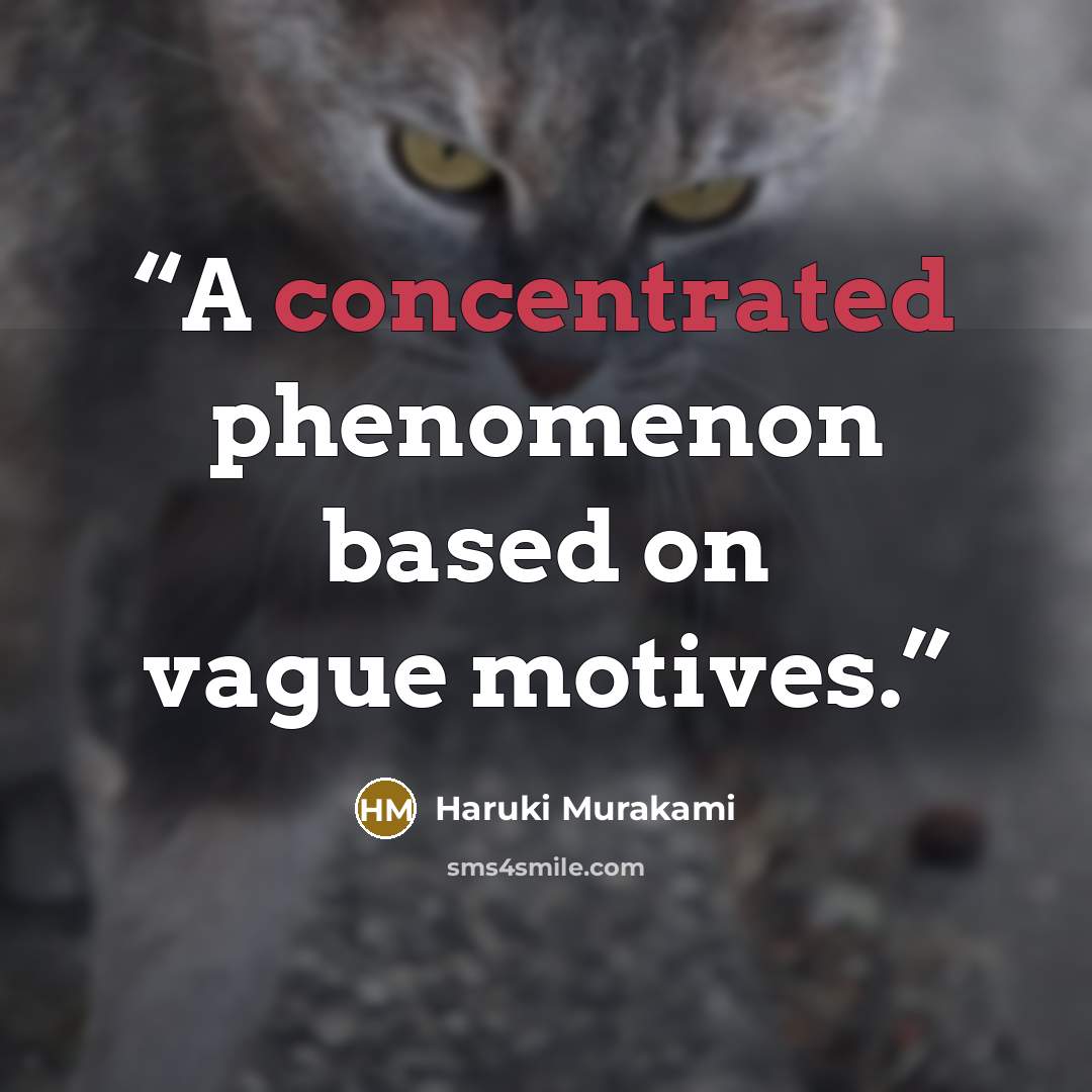 “A concentrated phenomenon based on vague motives.” quote by Haruki Murakami