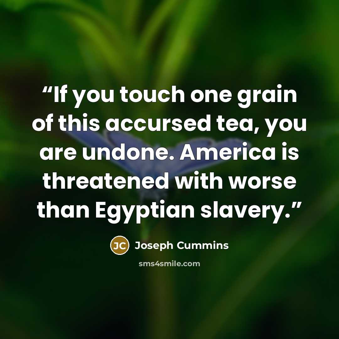 “If you touch one grain of this accursed tea, you are undone. America is threatened with worse than Egyptian slavery.” quote by Joseph Cummins