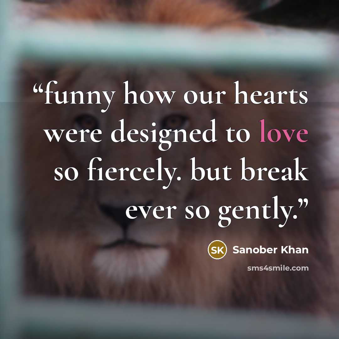 “funny how our hearts were designed to love so fiercely. but break ever so gently.” quote by Sanober Khan