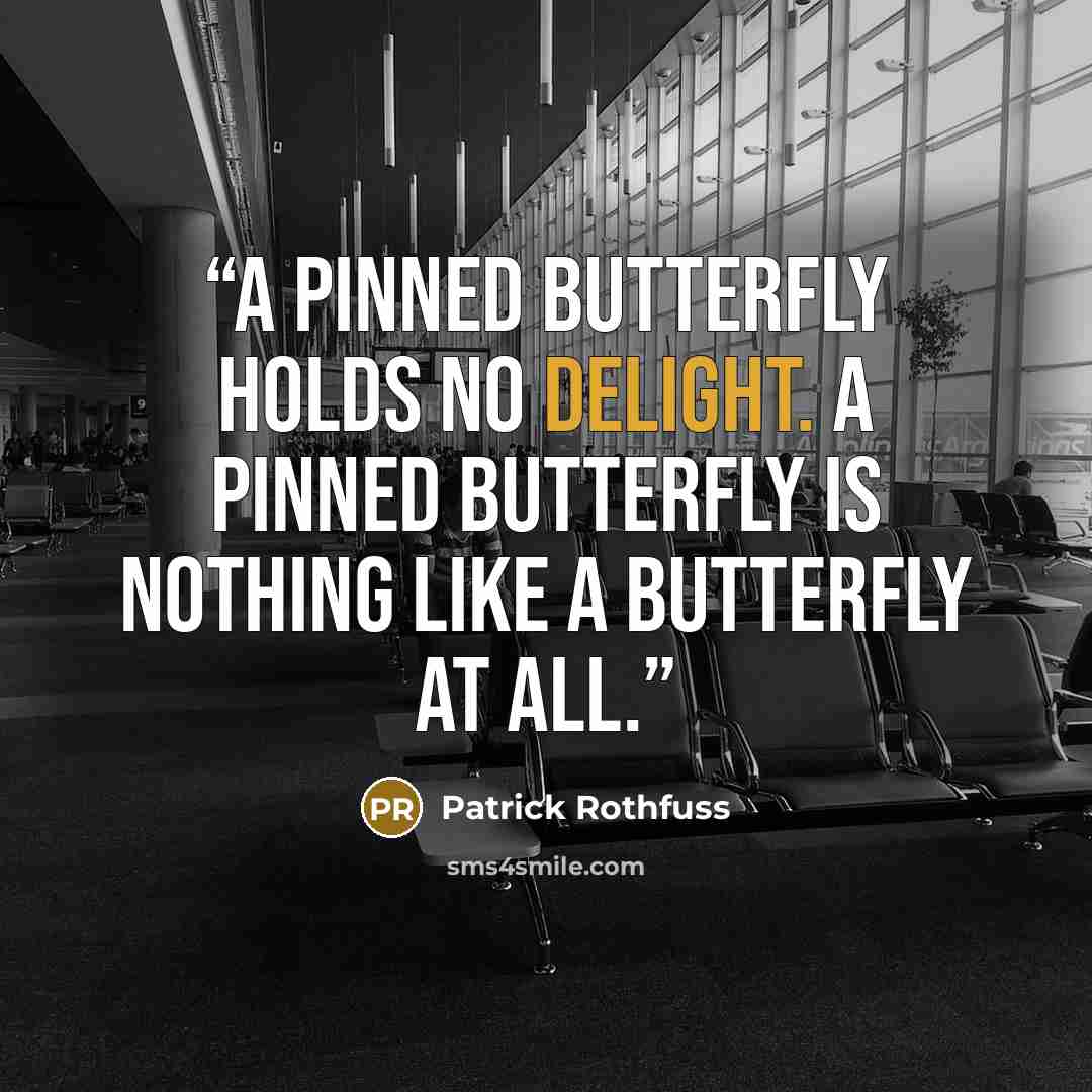 “A pinned butterfly holds no delight. A pinned butterfly is nothing like a butterfly at all.” quote by Patrick Rothfuss