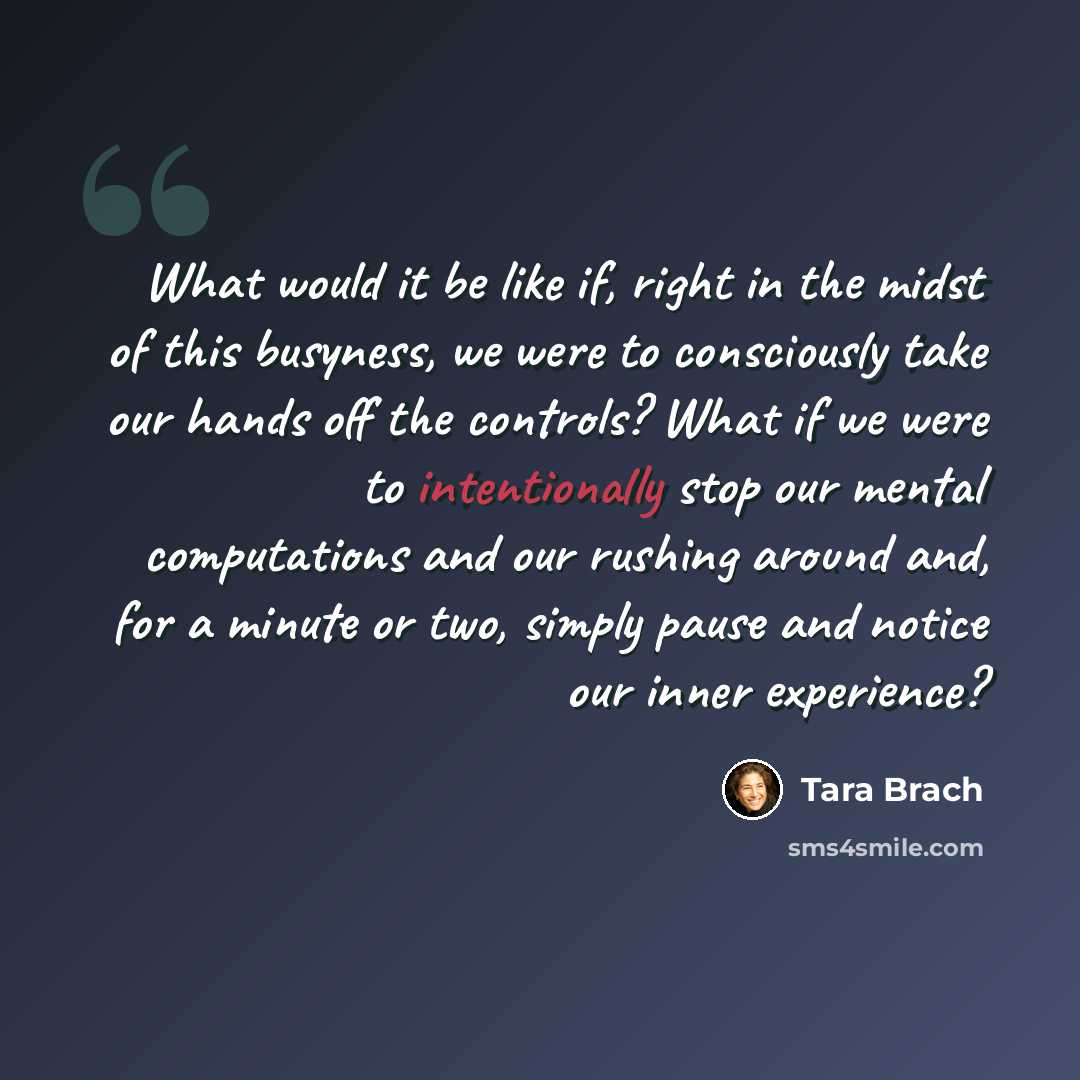 “What would it be like if, right in the midst of this busyness, we were to consciously take our hands off the controls? What if we were to intentionally stop our mental computations and our rushing around and, for a minute or two, simply pause and notice our inner experience?” quote by Tara Brach