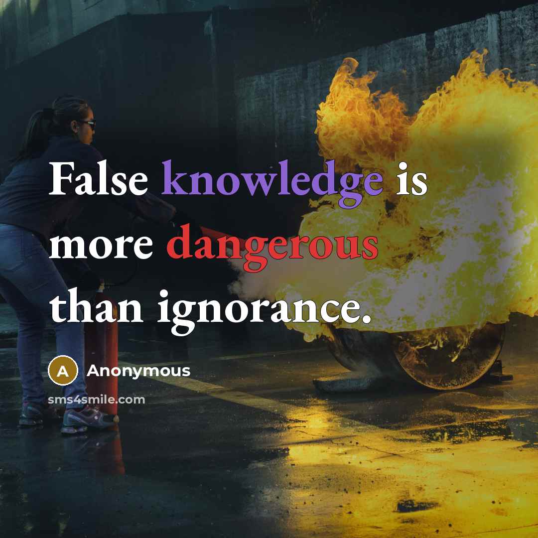 “False knowledge is more dangerous than ignorance.” quote by Anonymous