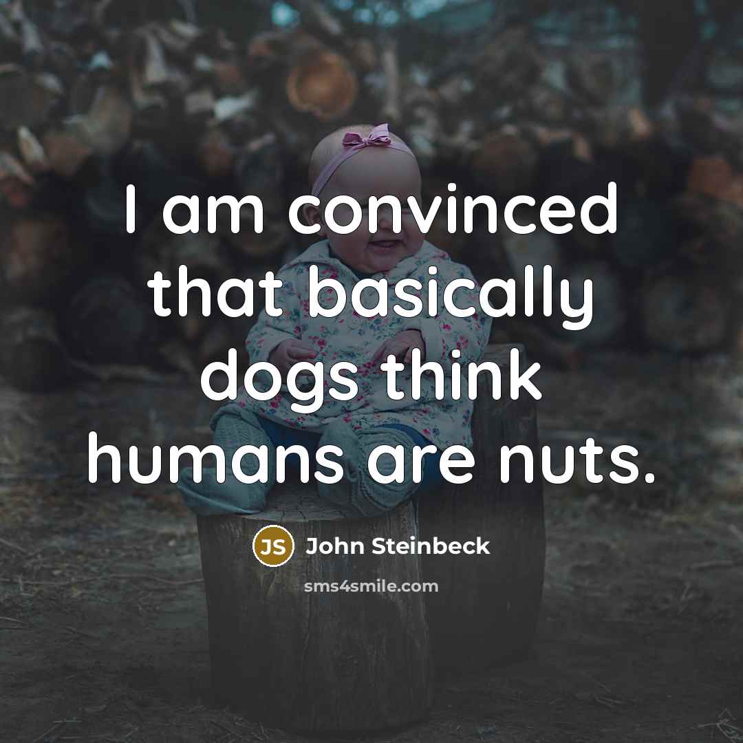 “I am convinced that basically dogs think humans are nuts.” quote by John Steinbeck