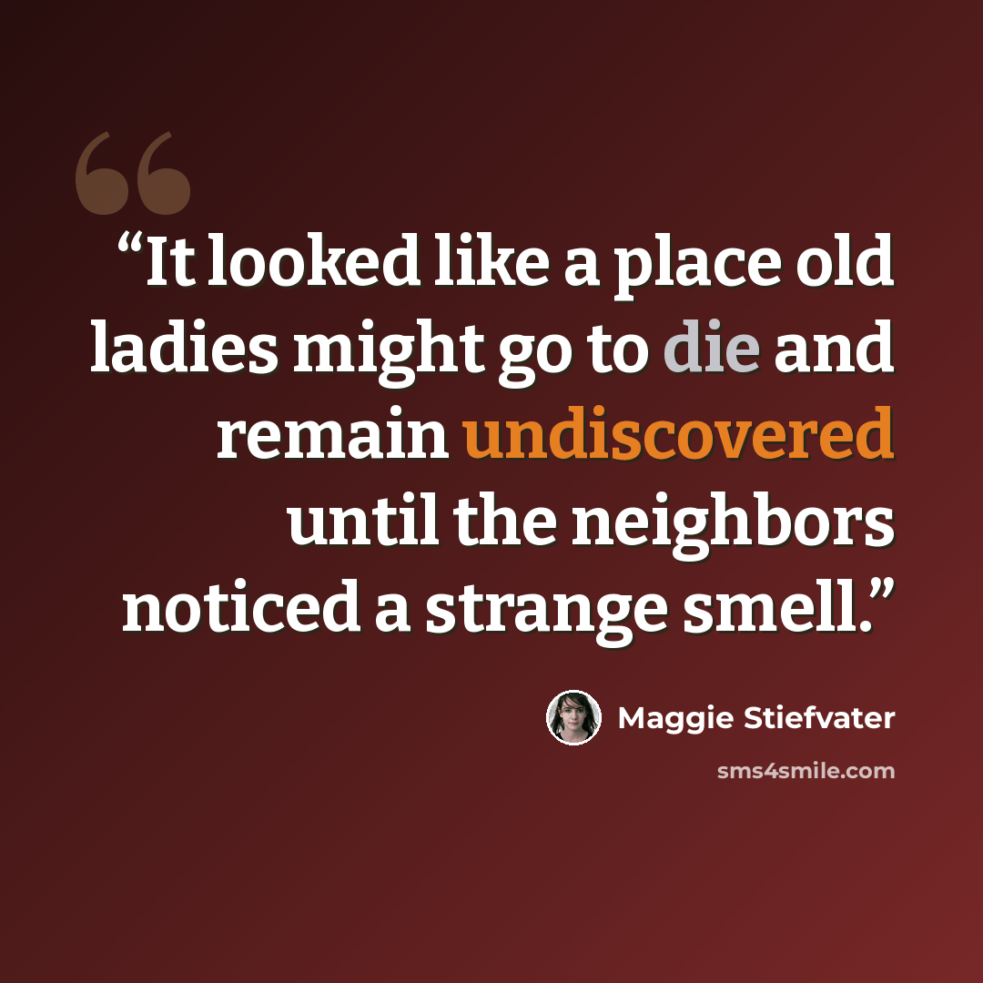 “It looked like a place old ladies might go to die and remain undiscovered until the neighbors noticed a strange smell.” quote by Maggie Stiefvater
