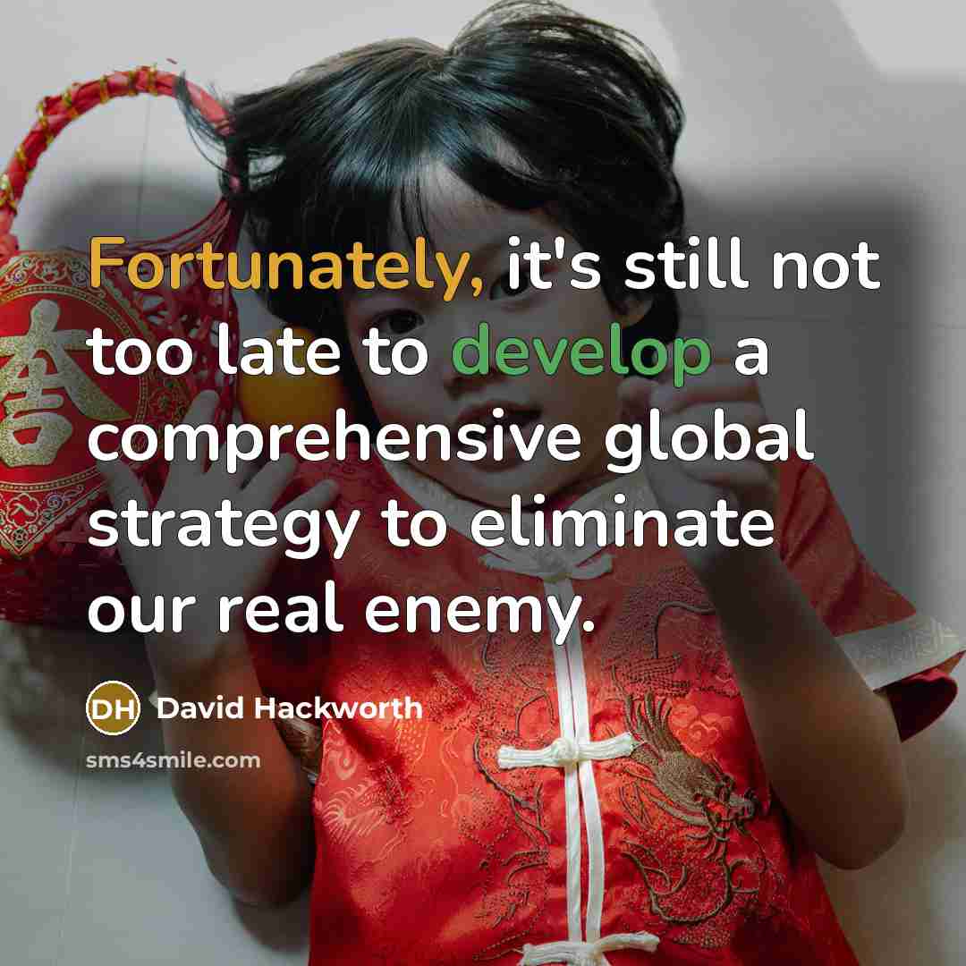 “Fortunately, it's still not too late to develop a comprehensive global strategy to eliminate our real enemy.” quote by David Hackworth