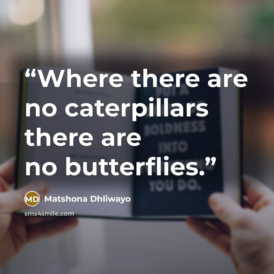 “Where there are no caterpillars there are no butterflies.” quote by Matshona Dhliwayo