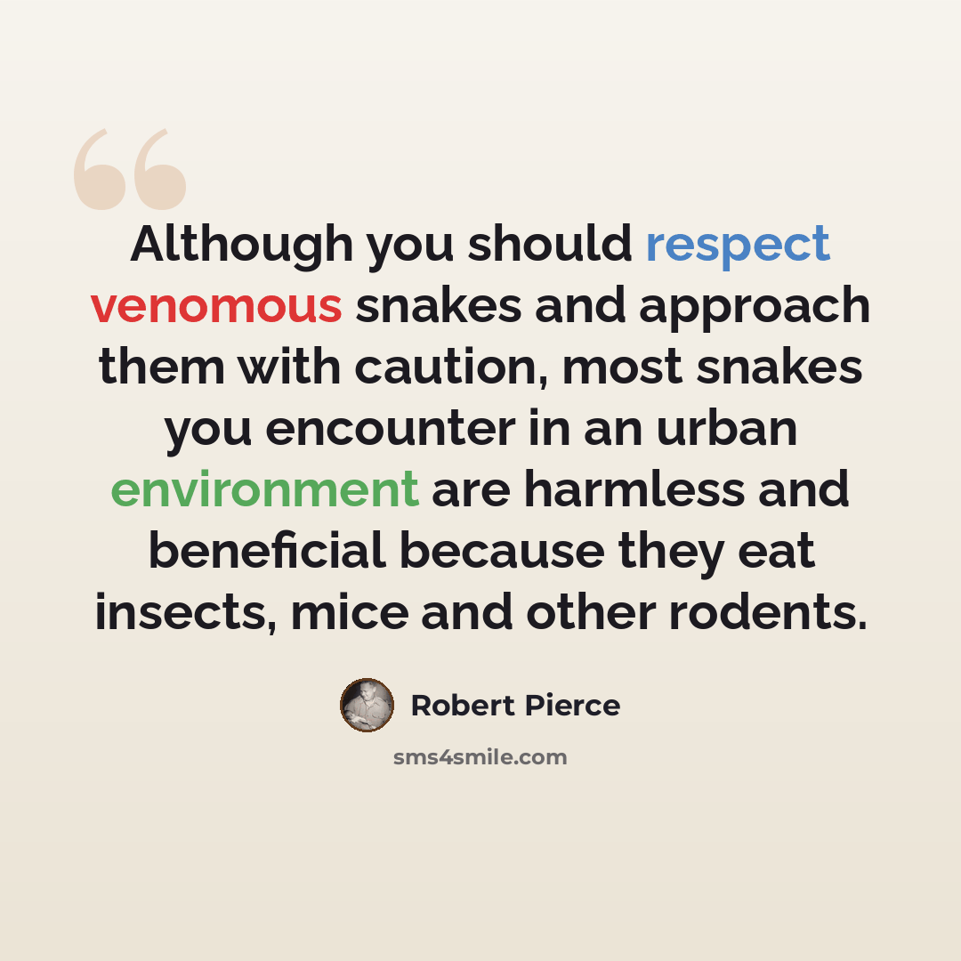 “Although you should respect venomous snakes and approach them with caution, most snakes you encounter in an urban environment are harmless and beneficial because they eat insects, mice and other rodents.” quote by Robert Pierce