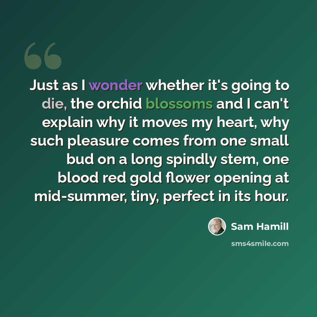 “Just as I wonder whether it's going to die, the orchid blossoms and I can't explain why it moves my heart, why such pleasure comes from one small bud on a long spindly stem, one blood red gold flower opening at mid-summer, tiny, perfect in its hour.” quote by Sam Hamill