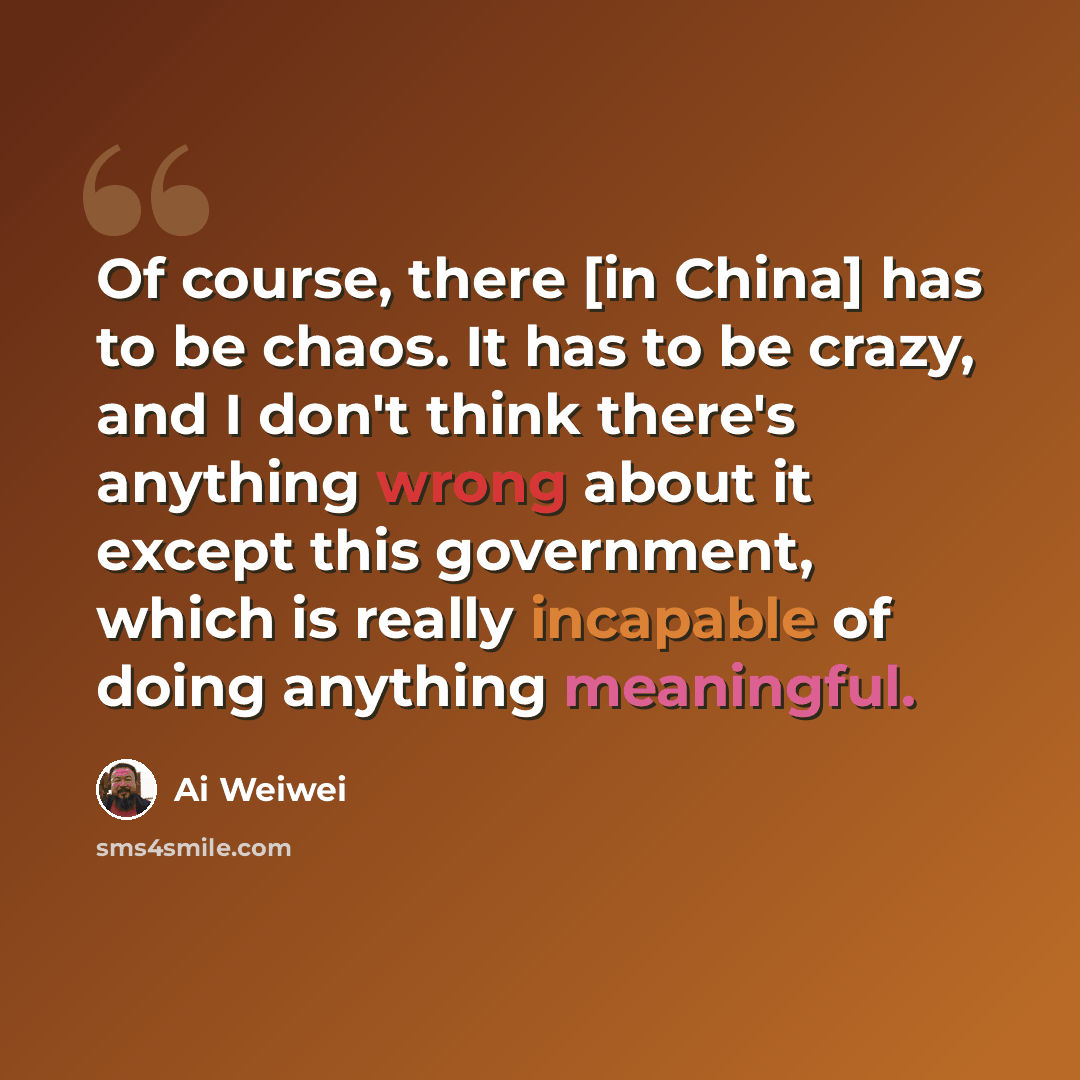 “Of course, there [in China] has to be chaos. It has to be crazy, and I don't think there's anything wrong about it except this government, which is really incapable of doing anything meaningful.” quote by Ai Weiwei
