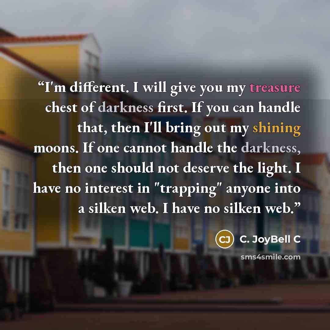“I'm different. I will give you my treasure chest of darkness first. If you can handle that, then I'll bring out my shining moons. If one cannot handle the darkness, then one should not deserve the light. I have no interest in "trapping" anyone into a silken web. I have no silken web.” quote by C. JoyBell C