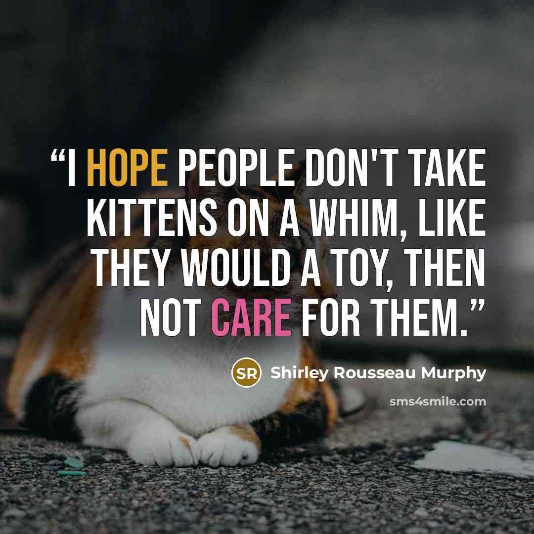 “I hope people don't take kittens on a whim, like they would a toy, then not care for them.” quote by Shirley Rousseau Murphy